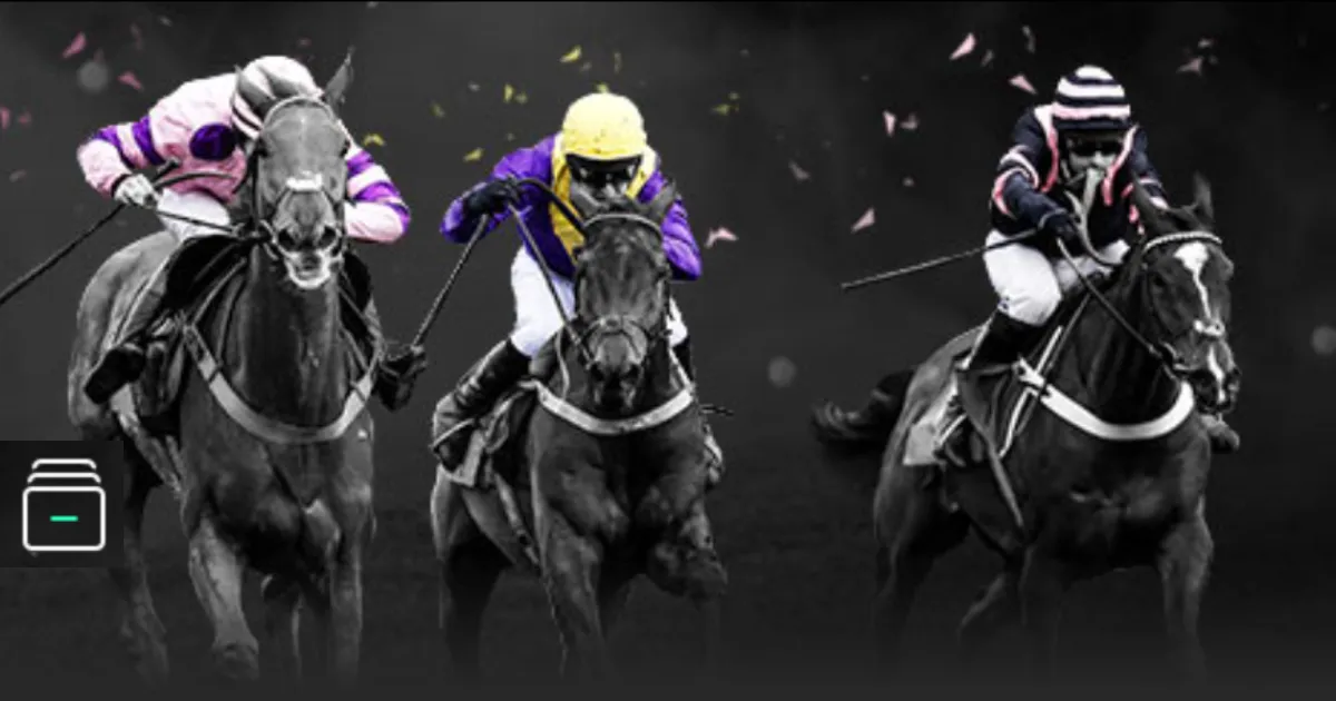 鹈鹕激情战,主场,篮网能否打,亚博,YaBo,亚博体育官网,亚博官网,亚博体育下载